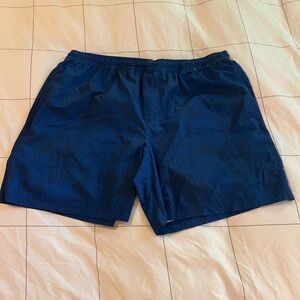 Chubbies Shorts